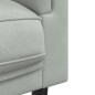 vidaXL Juego de sofás con cojines 2 piezas terciopelo gris claro vidaXL Juego de sofás con cojines 2 piezas terciopelo gris claro