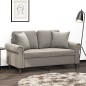 vidaXL Cojines decorativos 2 uds terciopelo gris claro 40x40 cm vidaXL Cojines decorativos 2 uds terciopelo gris claro 40x40 cm