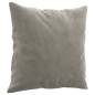 vidaXL Cojines decorativos 2 uds terciopelo gris claro 40x40 cm vidaXL Cojines decorativos 2 uds terciopelo gris claro 40x40 cm