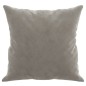 vidaXL Cojines decorativos 2 uds terciopelo gris claro 40x40 cm vidaXL Cojines decorativos 2 uds terciopelo gris claro 40x40 cm