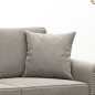 vidaXL Cojines decorativos 2 uds terciopelo gris claro 40x40 cm vidaXL Cojines decorativos 2 uds terciopelo gris claro 40x40 cm