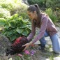 Ubbink Turba para estanque de jardín Aquavital 10 L Ubbink Turba para estanque de jardín Aquavital 10 L