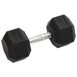vidaXL Mancuernas 2 unidades hierro fundido 25 kg