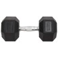 vidaXL Mancuernas 2 unidades hierro fundido 25 kg vidaXL Mancuernas 2 unidades hierro fundido 25 kg