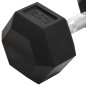 vidaXL Mancuernas 2 unidades hierro fundido 25 kg vidaXL Mancuernas 2 unidades hierro fundido 25 kg