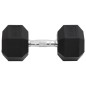 vidaXL Mancuerna hierro fundido 27,5 kg vidaXL Mancuerna hierro fundido 27,5 kg