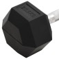 vidaXL Mancuerna hierro fundido 27,5 kg vidaXL Mancuerna hierro fundido 27,5 kg