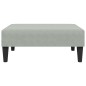 vidaXL Juego de sofás 2 piezas terciopelo gris claro vidaXL Juego de sofás 2 piezas terciopelo gris claro
