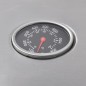vidaXL Barbacoa grill de gas 4+1 quemadores plateada vidaXL Barbacoa grill de gas 4+1 quemadores plateada
