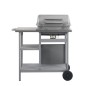 vidaXL Barbacoa portátil de gas con mesita de 3 estantes plateado vidaXL Barbacoa portátil de gas con mesita de 3 estantes plateado