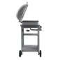 vidaXL Barbacoa portátil de gas con mesita de 3 estantes plateado vidaXL Barbacoa portátil de gas con mesita de 3 estantes plateado