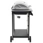 vidaXL Barbacoa portátil de gas con 6 zonas plateada acero inoxidable vidaXL Barbacoa portátil de gas con 6 zonas plateada acero inoxidable