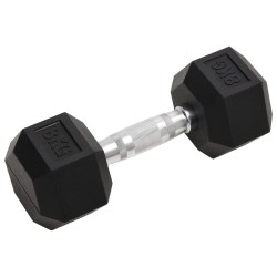 vidaXL Mancuernas 2 unidades hierro fundido 16 kg