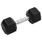 vidaXL Mancuernas 2 unidades hierro fundido 16 kg