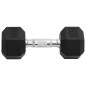 vidaXL Mancuernas 2 unidades hierro fundido 16 kg