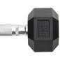 vidaXL Mancuernas 2 unidades hierro fundido 16 kg