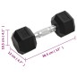vidaXL Mancuernas 2 unidades hierro fundido 16 kg