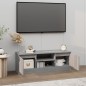 vidaXL Mueble de TV con puerta gris Sonoma 102x30x36 cm