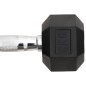 vidaXL Mancuernas 2 unidades hierro fundido 12 kg vidaXL Mancuernas 2 unidades hierro fundido 12 kg