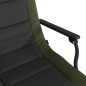 vidaXL Silla de pesca con reposabrazos plegable verde vidaXL Silla de pesca con reposabrazos plegable verde