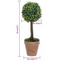 vidaXL Plantas de boj artificial 2 uds forma bola maceta verde 56 cm vidaXL Plantas de boj artificial 2 uds forma bola maceta verde 56 cm