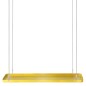 Esschert Design Bandeja colgante para plantas rectangular dorada L Esschert Design Bandeja colgante para plantas rectangular dorada L