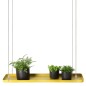 Esschert Design Bandeja colgante para plantas rectangular dorada L Esschert Design Bandeja colgante para plantas rectangular dorada L