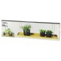 Esschert Design Bandeja colgante para plantas rectangular dorada L Esschert Design Bandeja colgante para plantas rectangular dorada L