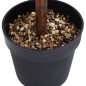 vidaXL Planta de boj artificial forma de bola con maceta verde 50 cm vidaXL Planta de boj artificial forma de bola con maceta verde 50 cm