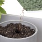 Smartwares Lámpara de cultivo para jardín LED 9W blanco Smartwares Lámpara de cultivo para jardín LED 9W blanco