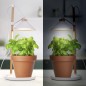 Smartwares Lámpara de cultivo para jardín LED 9W blanco Smartwares Lámpara de cultivo para jardín LED 9W blanco