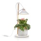 Smartwares Lámpara de cultivo para jardín LED 9W blanco Smartwares Lámpara de cultivo para jardín LED 9W blanco