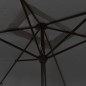 vidaXL Sombrilla de jardín con palo de metal 300x200 cm gris antracita vidaXL Sombrilla de jardín con palo de metal 300x200 cm gris antracita