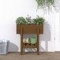 vidaXL Jardinera madera maciza de pino marrón miel 62x30x69 cm vidaXL Jardinera madera maciza de pino marrón miel 62x30x69 cm