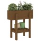 vidaXL Jardinera madera maciza de pino marrón miel 62x30x69 cm vidaXL Jardinera madera maciza de pino marrón miel 62x30x69 cm