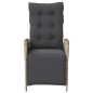 vidaXL Sillón reclinable jardín y reposapiés 2 uds ratán PE gris claro vidaXL Sillón reclinable jardín y reposapiés 2 uds ratán PE gris claro