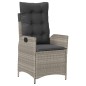 vidaXL Set comedor de jardín 9 pzas cojines ratán sintético gris claro vidaXL Set comedor de jardín 9 pzas cojines ratán sintético gris claro