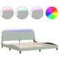 vidaXL Estructura cama con luces LED terciopelo gris claro 200x200 cm