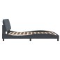 vidaXL Estructura cama con cabecero terciopelo gris oscuro 120x200 cm