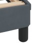 vidaXL Estructura cama con luces LED terciopelo gris oscuro 100x200 cm vidaXL Estructura cama con luces LED terciopelo gris oscuro 100x200 cm