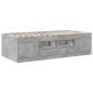 vidaXL Tumbona con cajones madera ingeniería gris hormigón 90x190 cm vidaXL Tumbona con cajones madera ingeniería gris hormigón 90x190 cm