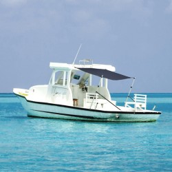 vidaXL Toldo T-Top extensión azul marino 174x205x(115-194) cm