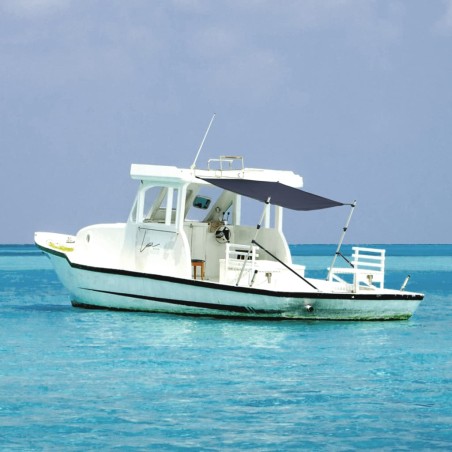 vidaXL Toldo T-Top extensión azul marino 174x205x(115-194) cm