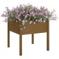 vidaXL Jardinera de madera maciza de pino marrón miel 70x70x70 cm vidaXL Jardinera de madera maciza de pino marrón miel 70x70x70 cm
