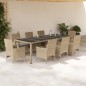 vidaXL Set comedor jardín 9 pzas cojines ratán sintético vidrio beige vidaXL Set comedor jardín 9 pzas cojines ratán sintético vidrio beige