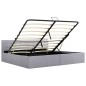 vidaXL Cama hidráulica con almacenaje y LED tela gris claro 180x200 cm vidaXL Cama hidráulica con almacenaje y LED tela gris claro 180x200 cm