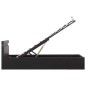 vidaXL Cama canapé hidráulica con LED cuero sintético negro 100x200cm vidaXL Cama canapé hidráulica con LED cuero sintético negro 100x200cm