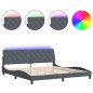vidaXL Estructura cama con luces LED terciopelo gris oscuro 200x200 cm vidaXL Estructura cama con luces LED terciopelo gris oscuro 200x200 cm
