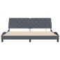 vidaXL Estructura cama con luces LED terciopelo gris oscuro 200x200 cm vidaXL Estructura cama con luces LED terciopelo gris oscuro 200x200 cm
