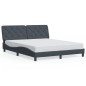vidaXL Estructura cama con luces LED terciopelo gris oscuro 160x200 cm vidaXL Estructura cama con luces LED terciopelo gris oscuro 160x200 cm